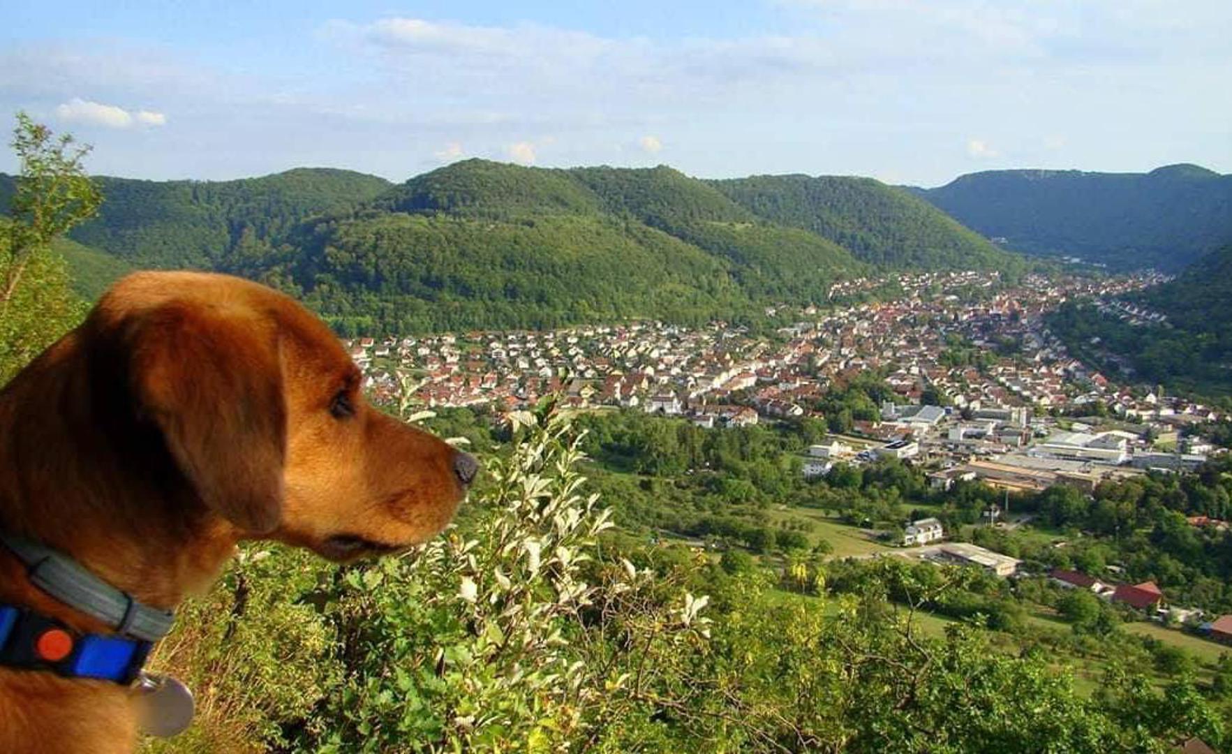 Novi život u Njemačkoj
