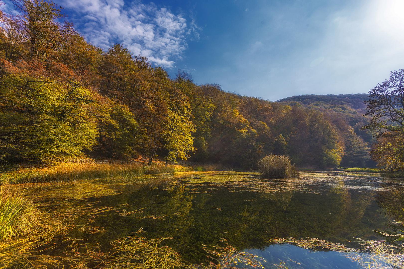 Park šuma Jankovac