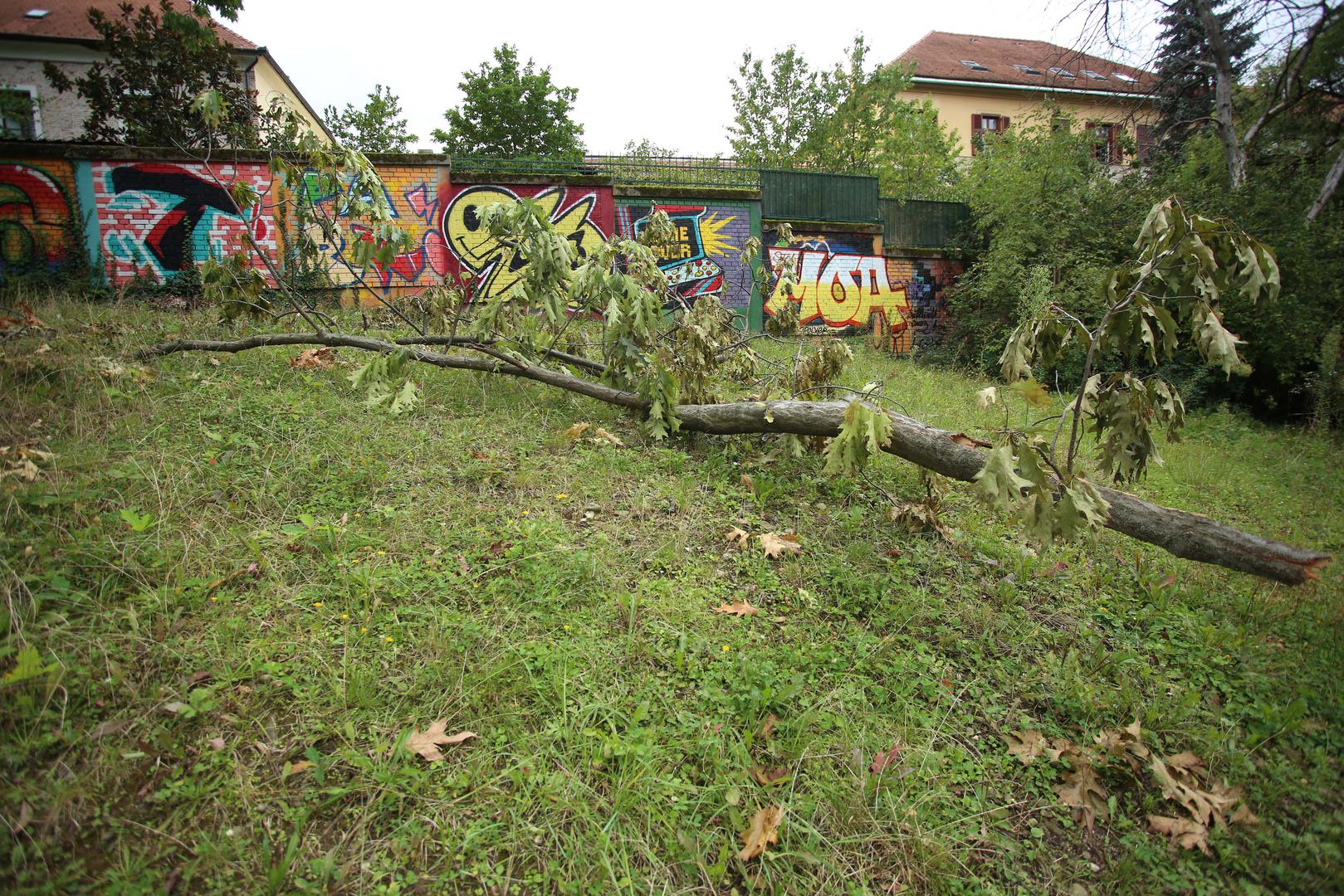 30.08.2023., Zagreb - Reportaza o stanju cistoce i urednosti grada Zagreba. Photo: Lovro Domitrovic/PIXSELL