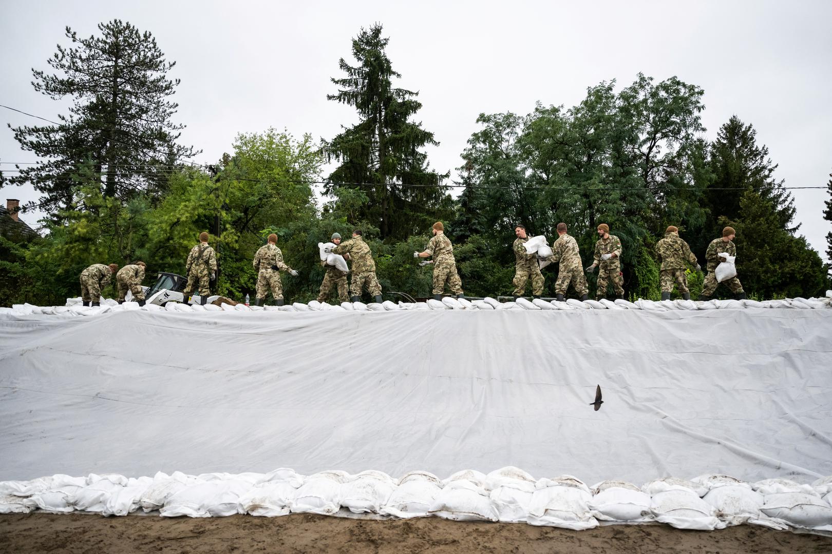 Soldiers carry sandbags to strengthen the dam along the river Danube in Pilismarot, Hungary, September 16, 2024. REUTERS/Marton Monus Photo: MARTON MONUS/REUTERS