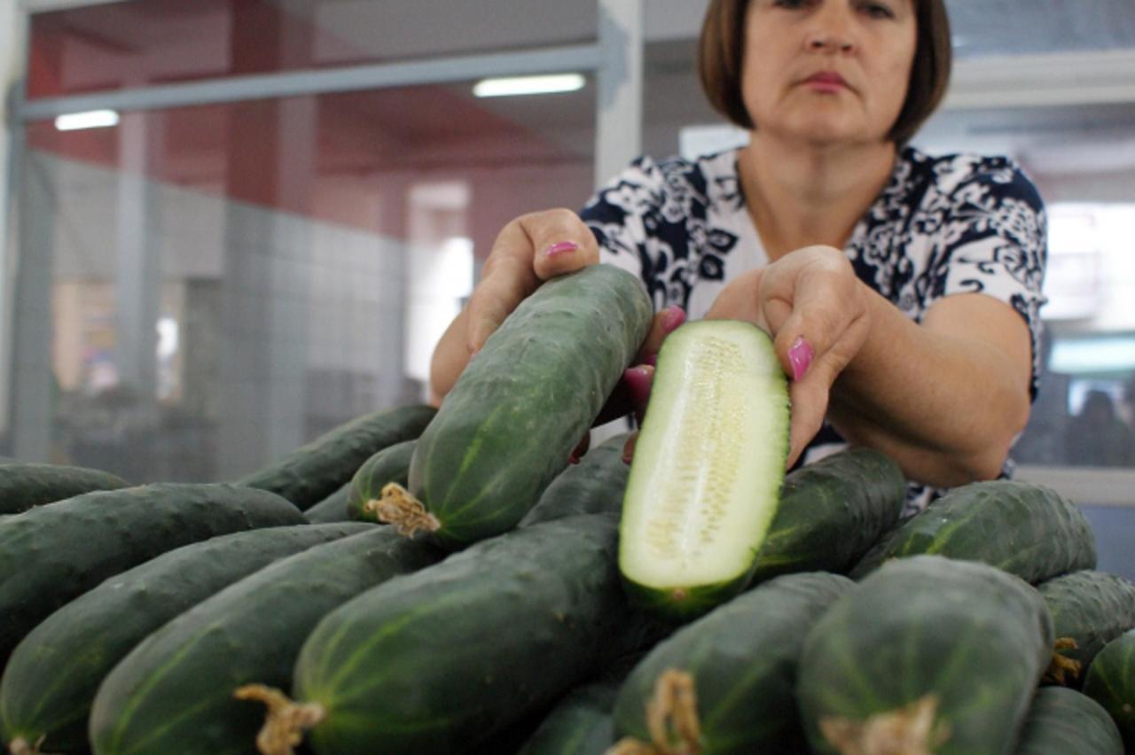 'slavonija, virovitica, 14.06.2011. zora lugaric iz virovitice istice kako ce podijeliti ili baciti jednu tonu krastavaca jer se njihova prodaja vise ne isplati - u mjesec i pol dana sa 12 kuna paola 