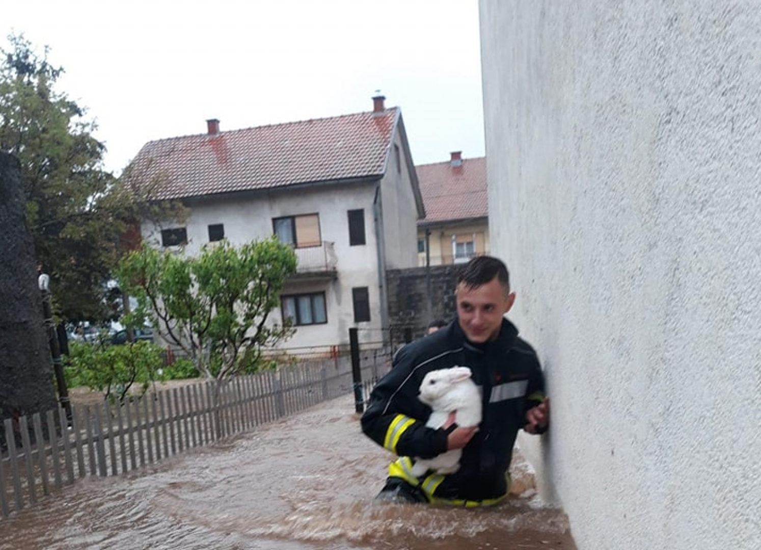 Vatrogasac Vlatko iz JVP-a Gračac spasio je zeca iz poplave koja je pogodila to područje sredinom svibnja. Nakon što je fotografija objavljena, izazvala je brojne reakcije i oduševljenje na društvenim mrežama. Spašeni zec po imenu Maza, u trenutku prodiranja vode u kuću, bio je u svom kavezu te su brzom reakcijom uspjeli otvoriti kavez koji je ostavljen u vodi.