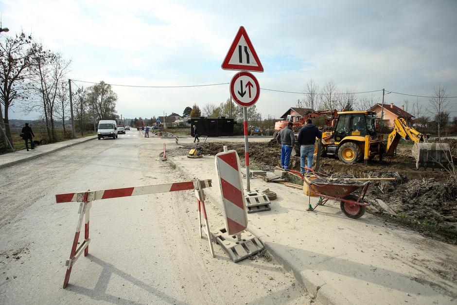 Kupinečki kraljevec