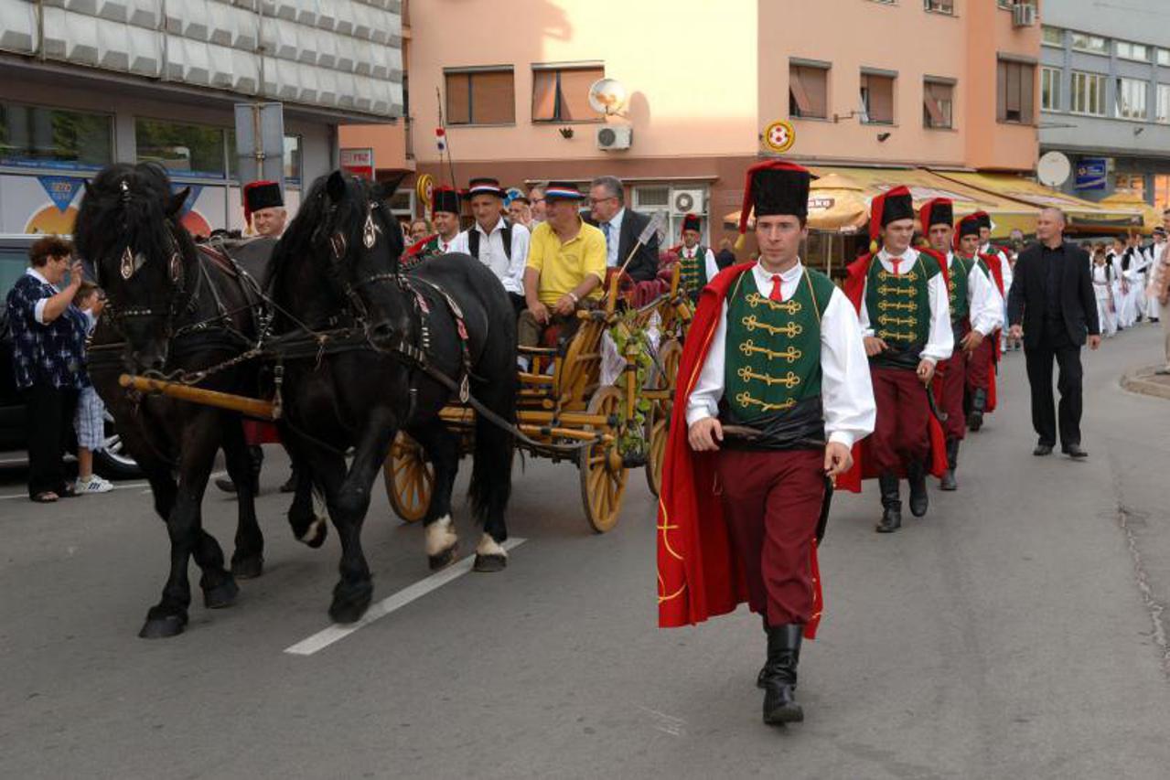 zlatne žice slavonije (1)