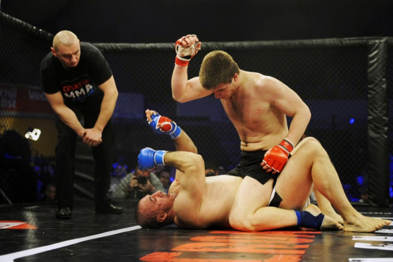 Hrvatska MMA liga (1)