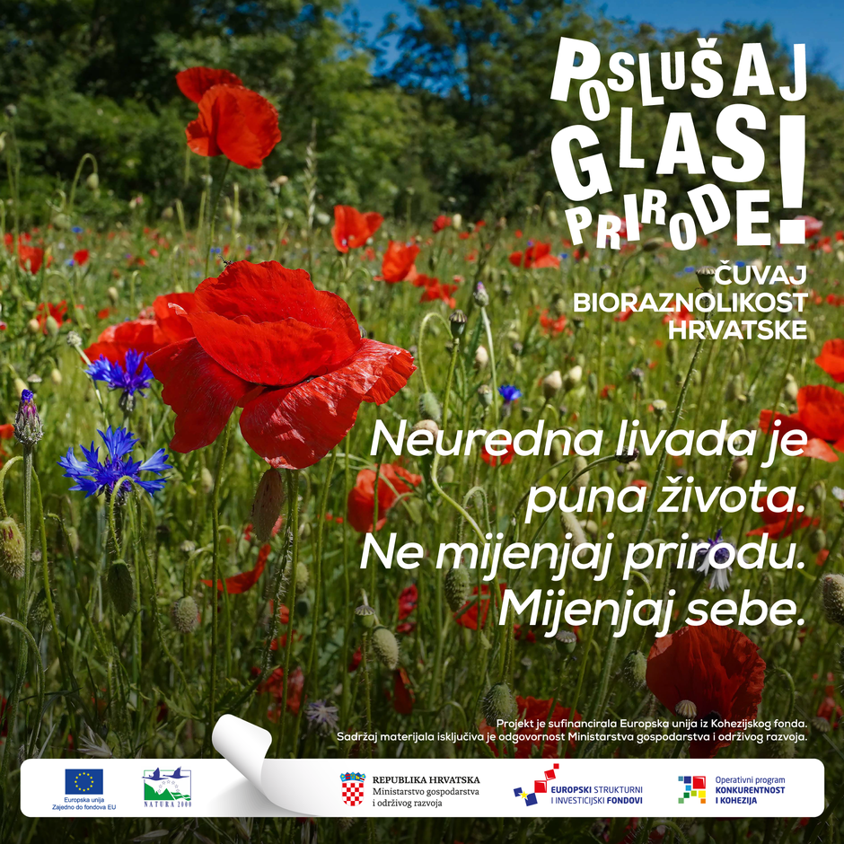 Poslušaj glas prirode!