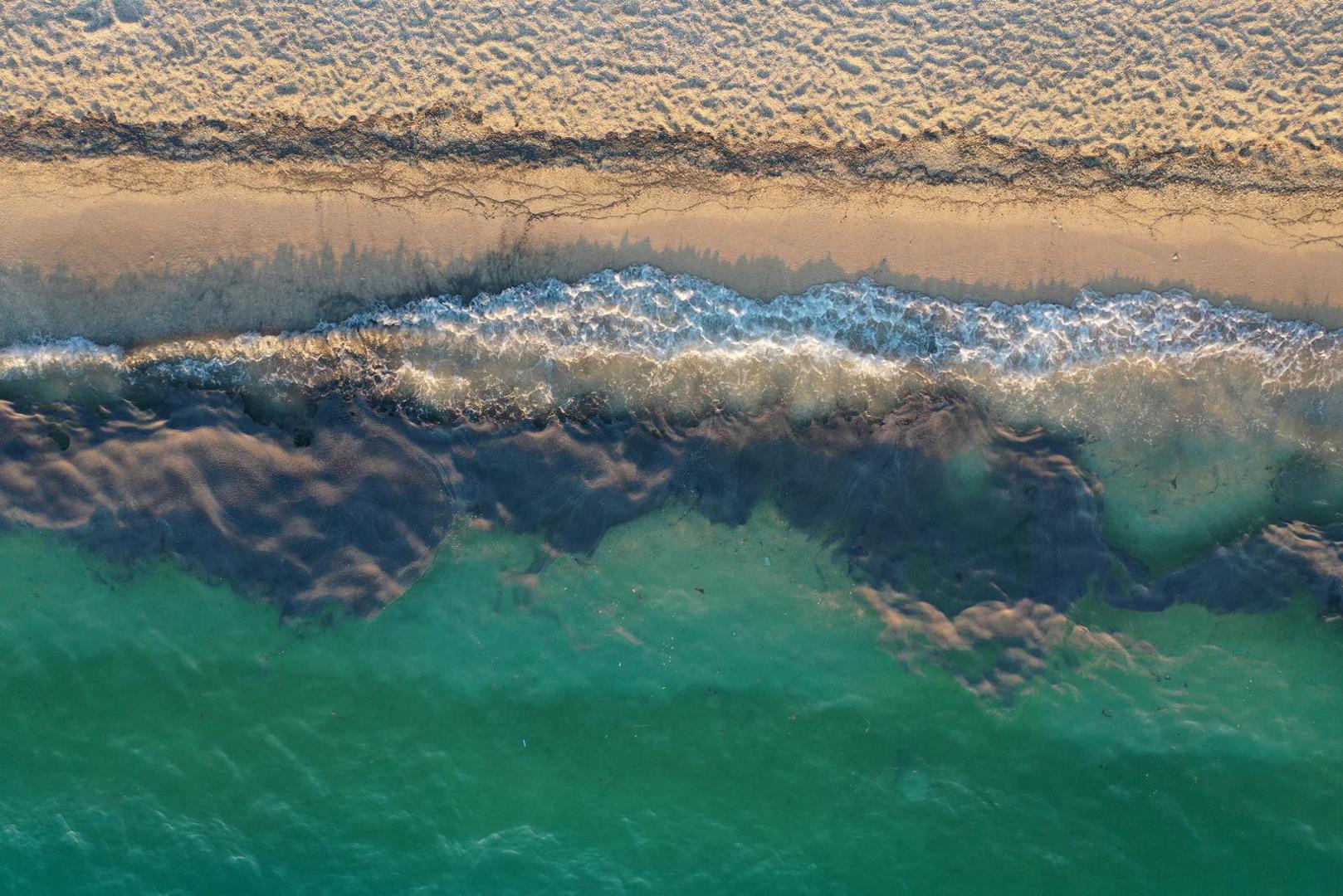 Fotografija iz zraka pokazuju more kojeg su preplavile mušice na plaži Donja Luka u Makarskoj.