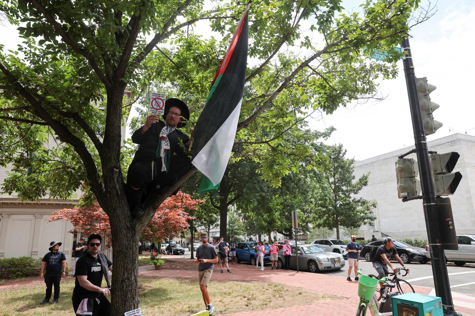 An ultra-Orthodox Jew sits in a tree holding an anti-Israel placard and a Palestinian flag, on the day Israeli Prime Minister Benjamin Netanyahu addresses a joint meeting of Congress, on Capitol Hill, in Washington, U.S., July 24, 2024. REUTERS/Umit Bektas Photo: UMIT BEKTAS/REUTERS