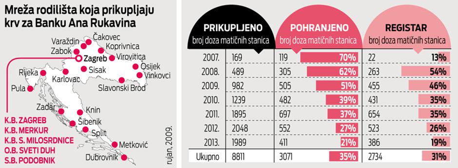 matične stanice