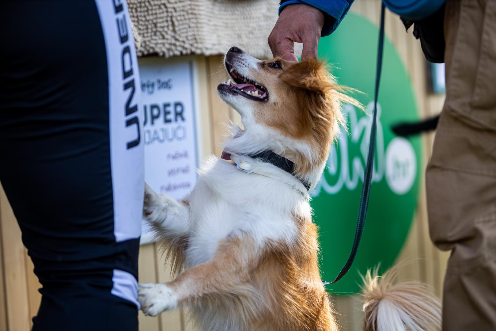  U ova tri dana održala su se i brojna stručna predavanja, primjerice o važnosti oralne higijene, a posjetitelji su i dobiti savjete veterinara o hrani, opremi, očuvanju zdravlja