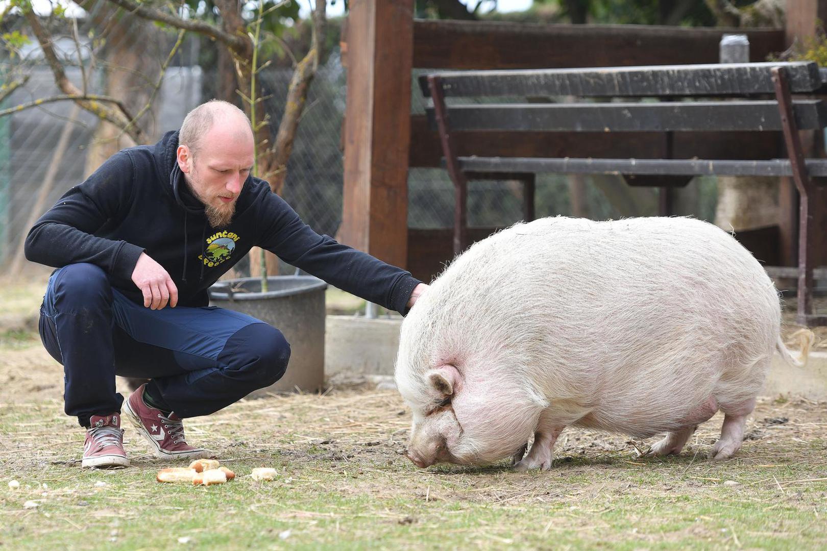 07.04.2023., Pescenica Vinicka - Nikola Bosak, vlasnik utocista za farmske zivotinje Suncani Bregec. Photo: Vjeran Zganec Rogulja/PIXSELL