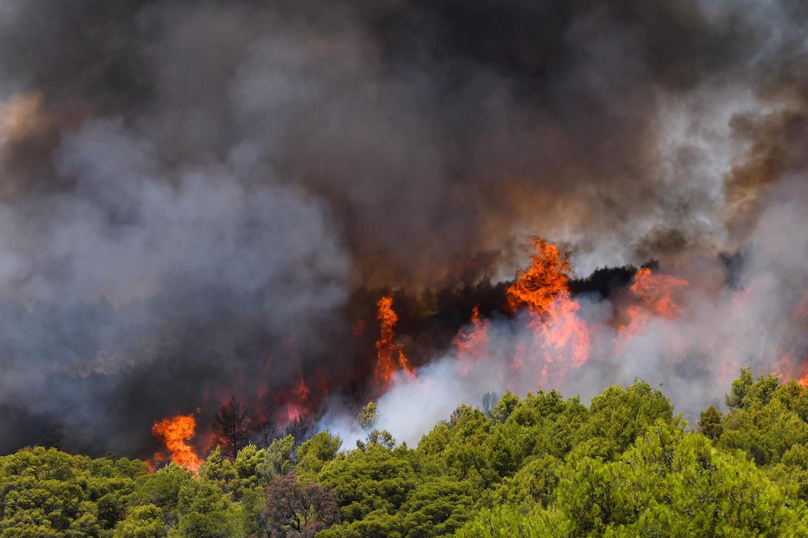 06.08.2024., Sibenik - Nesto prije 13 sati izbio je pozar u borovoj sumi u sibenskom naselju Rokici, odmah pokraj bolnice i stambenih kuca. Na terenu su vatrogasci i policija, a pozvana je i pomoc iz zraka. Suma se nalazi iznad Jadranske magistrale koja je zbog pozara zatvorena za sav promet. Photo: Hrvoje Jelavic/PIXSELL