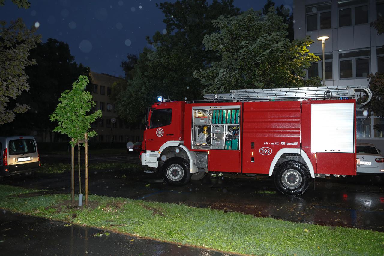 Vjetar u Osijeku srušio grane na cestu, intervenirali vatrogasci