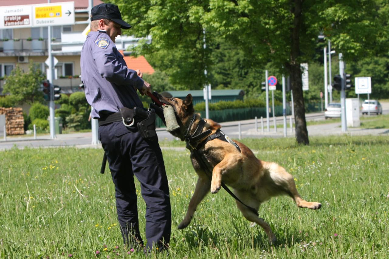 '09.05.2011. Karlovac - Novi policijski napadacki i tragacki pas Pu karlovacke Zeus od Moslavine sa policijski sluzbenikom Vjekoslavom Sigmundom. Vjekoslav Sigmund obucen je za rad sa psom s kojim bor