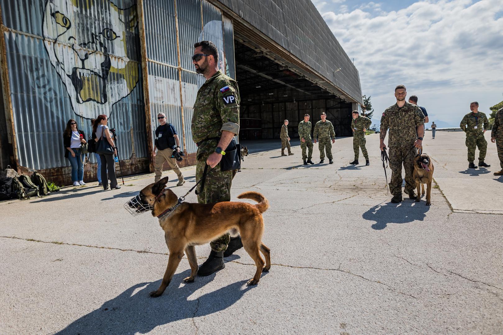 Iz Obučnog centra Vojne policije izlaze istrenirani službeni psi – pravi profesionalci koji tragaju za nestalima, love zločince, pronalaze drogu, eksploziv, duhan. Sve kreće odgojem. A onda slijede socijalizacija i vanjska obuka. Važno je da se psi priviknu na razne zvukove i prostore, kažu iz Vojne policije. 