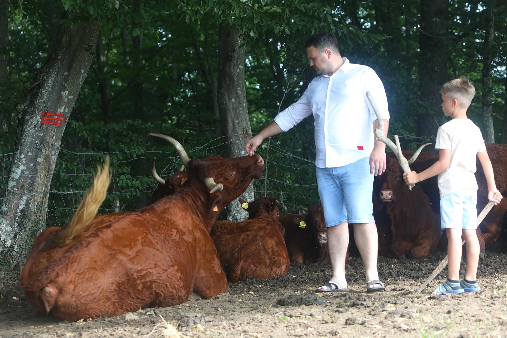 18.07.2023., Duga Resa - Izbor za najbolji OPG - Zlata vrijedan- Sajjoma, vl. Josip-Marko Butina na imanju uu Novigradu na Dobri bave se ratarstvom, stocarstvom i vinogradarstvom. Photo: Kristina Stedul Fabac/PIXSELL