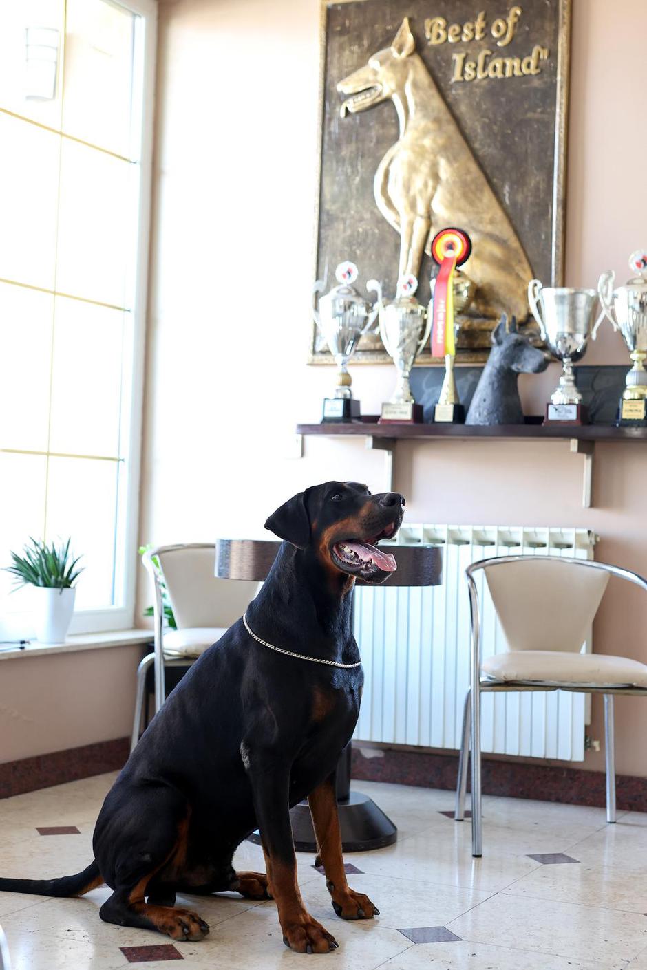 Miroslav Bedekovic, vlasnik kafića Doberman i predsjednik Doberman kluba Zagreb