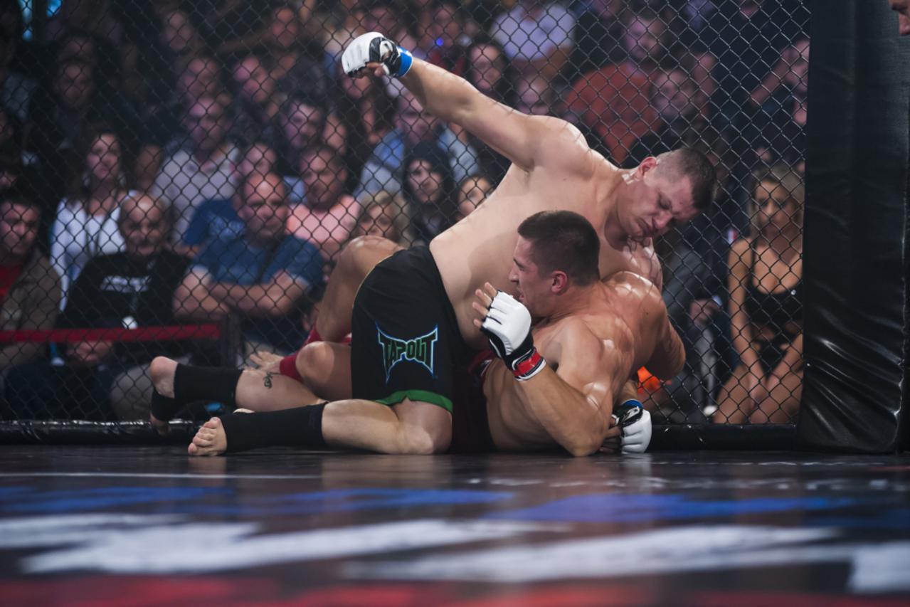 Hrvatska MMA liga (1)