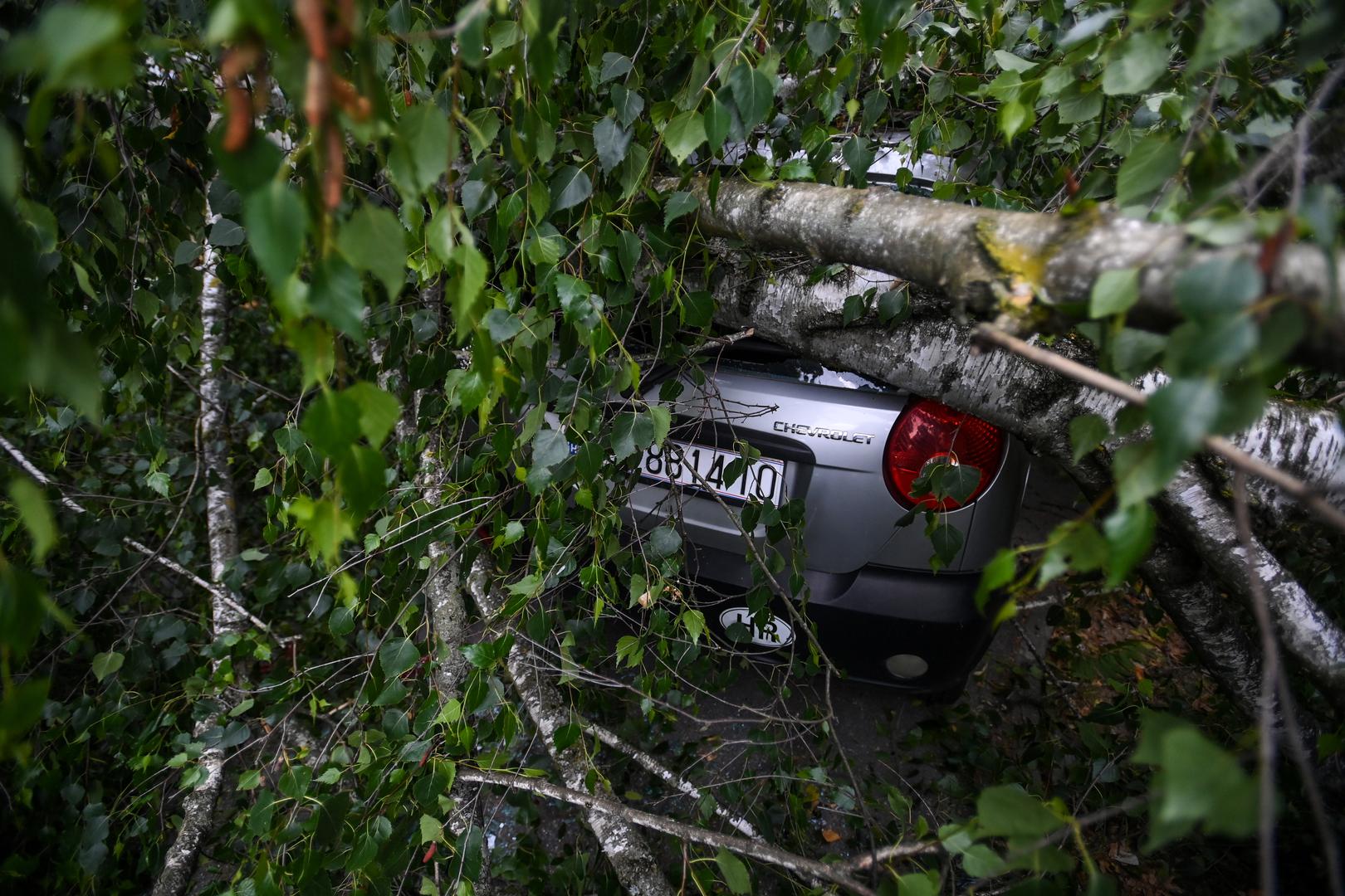 23.06.2023.,Zagreb - Olujni vjetar srusio  stablo u Ulici Ante Jaksica  , tri automobila ostecena  Photo: Igor Soban/PIXSELL