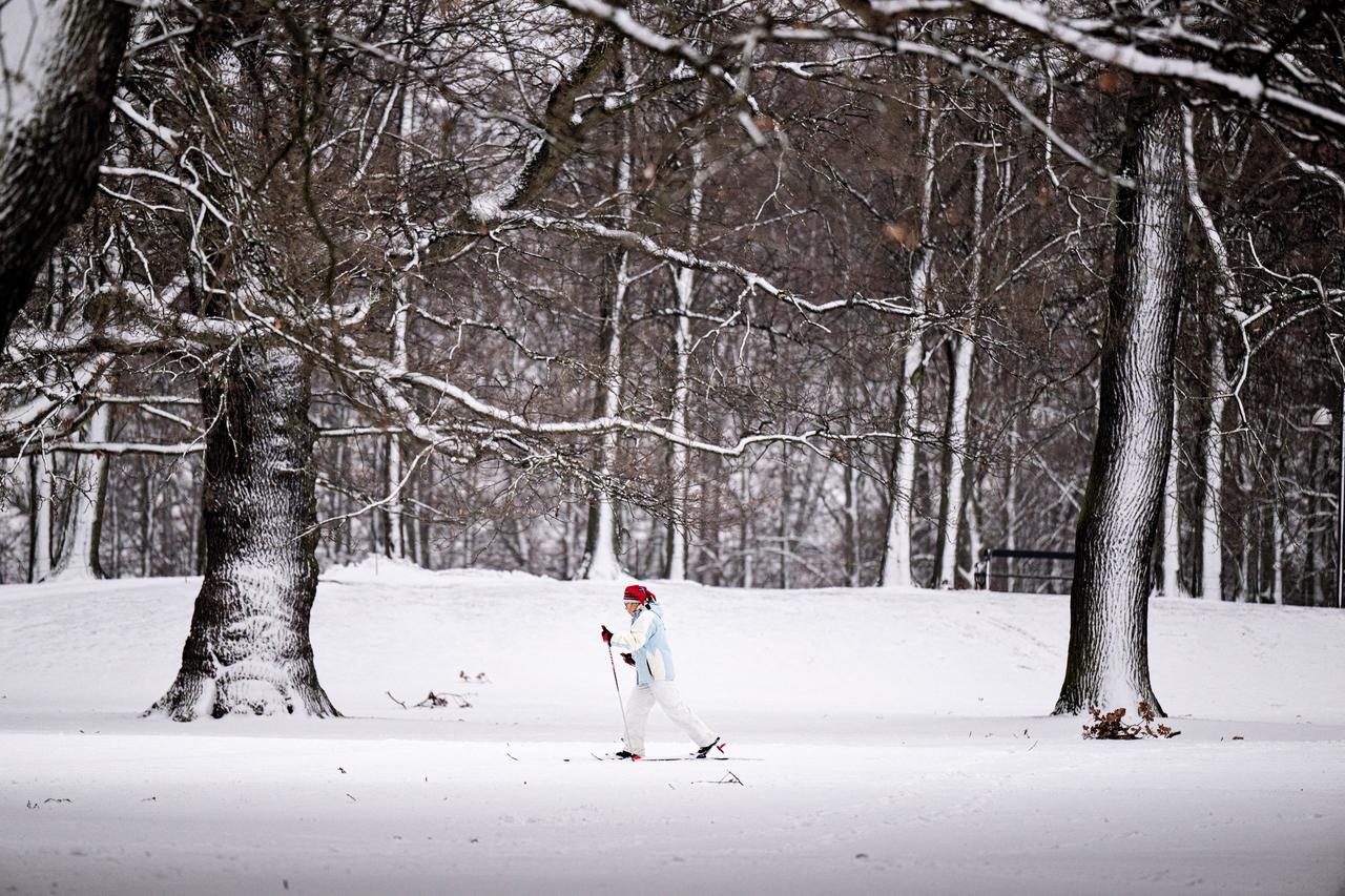 Winter in Rhineland-Palatinate