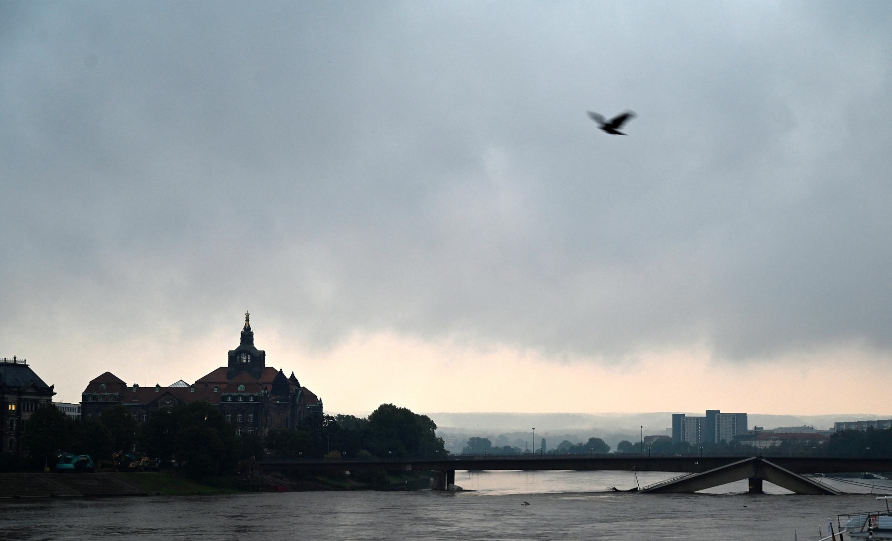 A bird flies over the flooding Elbe river near the partially collapsed Carola Bridge (Carolabruecke) in Dresden, Germany September 17, 2024. REUTERS/Matthias Rietschel Photo: MATTHIAS RIETSCHEL/REUTERS