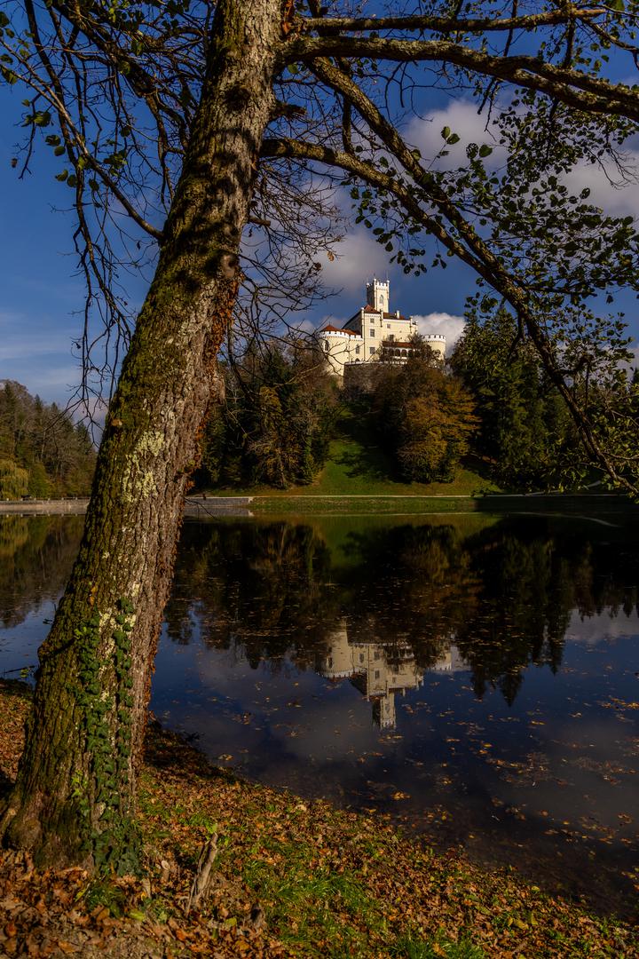 Dvorac Trakošćan smješten je u Varaždinskoj županiji, samo 12 km sjeveroistočno od Krapine i 30 km jugozapadno od Varaždina. S godišnjim brojem posjetitelja koji doseže oko 40.000, jedan je od najpopularnijih dvoraca u Hrvatskoj. 