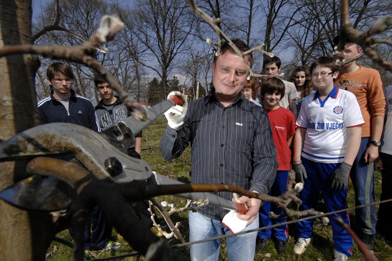 '26.03.2011., Sveti Martin na Muri- Vocari orezivali veliki skolski nasad jabuka i educirali ucenicku grupu. Photo: Vjeran Zganec-Rogulja/PIXSELL'