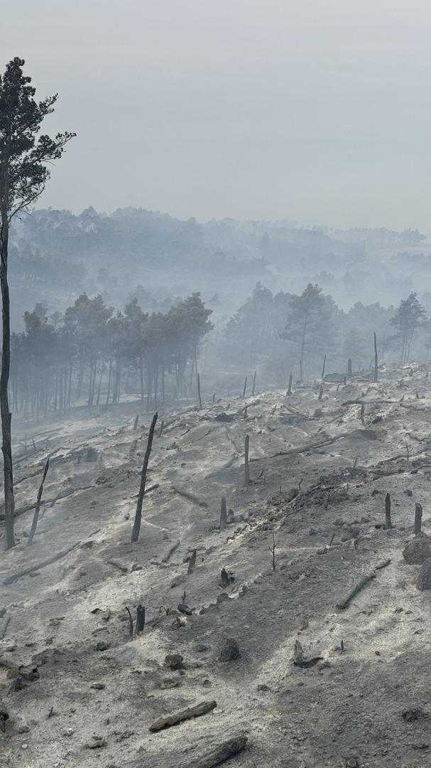 01.08.2024.,Makarska- Jutro je otkrilo katastrofu opozarene povrsine na podrucju Parka prirode Biokovo. Photo: Ivo Cagalj/PIXSELL