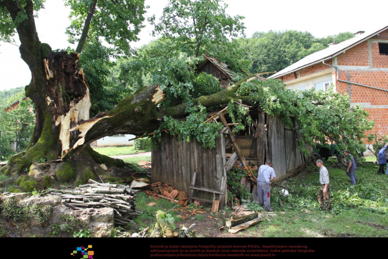 '24.05.2012., Karlovac - U olujnom nevremenu koje je u vecernjim satima zahvatilo okolicu Karlovca, Lipa stara 300 godina pala na sjenik 79-godi?nje Drage Marakovic u selu Ladvenjak.  Photo: Kristina 