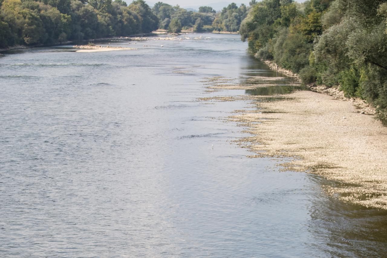 Rijeka Sava