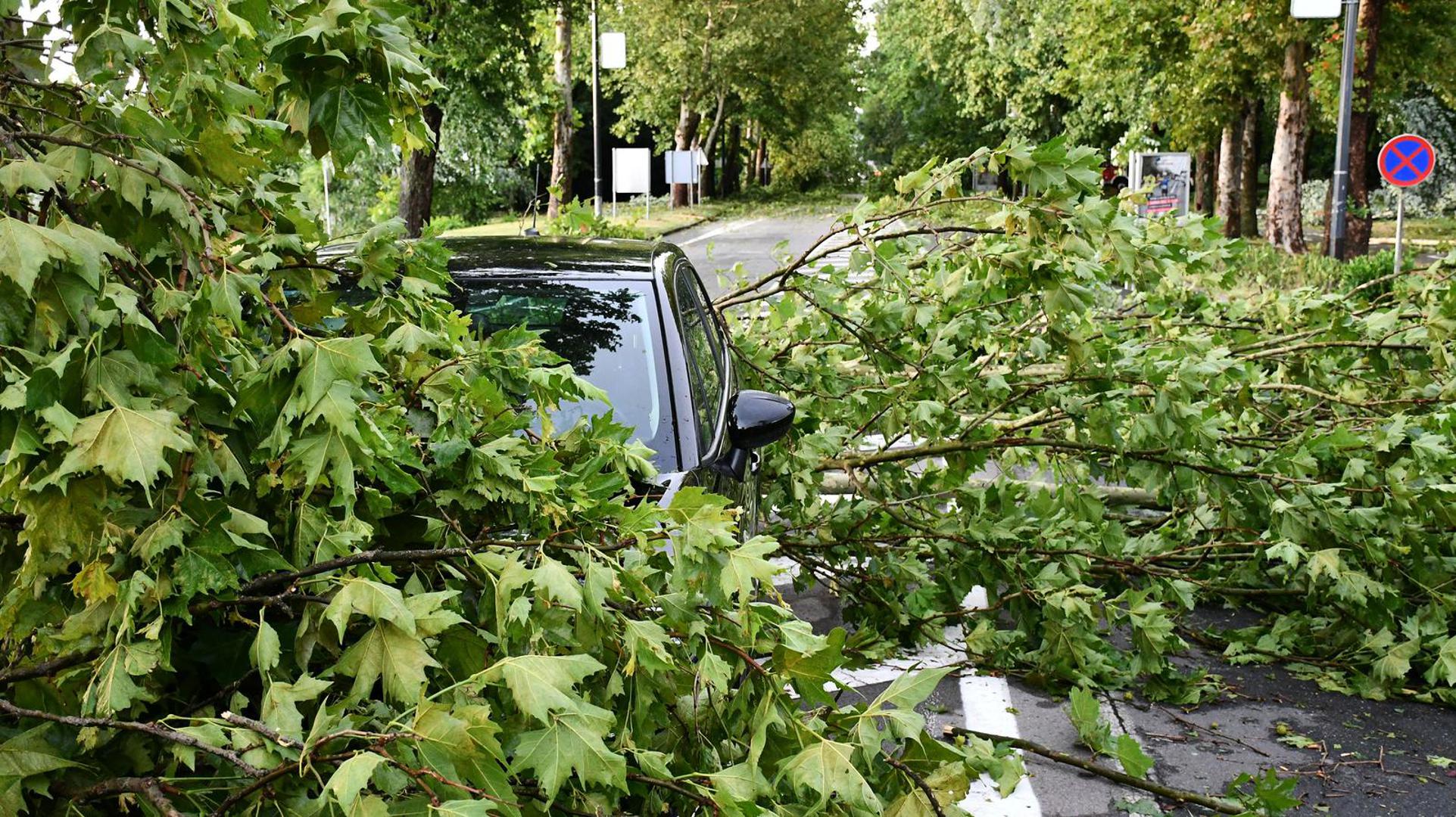 19.07.2023., Slavonski Brod - Posljedice razornog nevremena u Slavonskom Brodu Photo: Ivica Galovic/PIXSELL