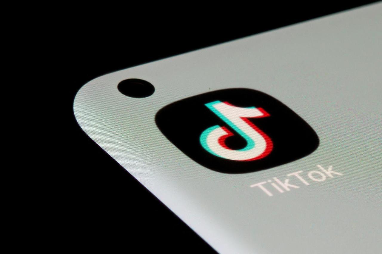 FILE PHOTO: TikTok app is seen on a smartphone in this illustration