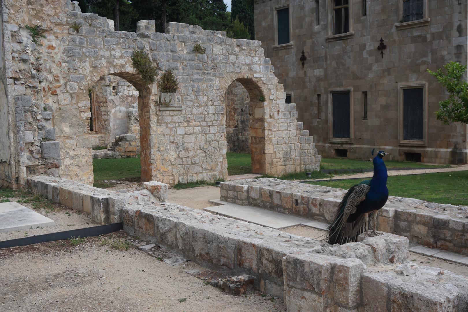 National Geographic piše da je otok Lokrum, rezervat pod zaštitom UNESCO-a, poznat po svojim zelenim borovim šumama i paunovima koji slobodno šeću. Otok nudi nekoliko mjesta za kupanje, a ističe se laguna Mrtvo More.