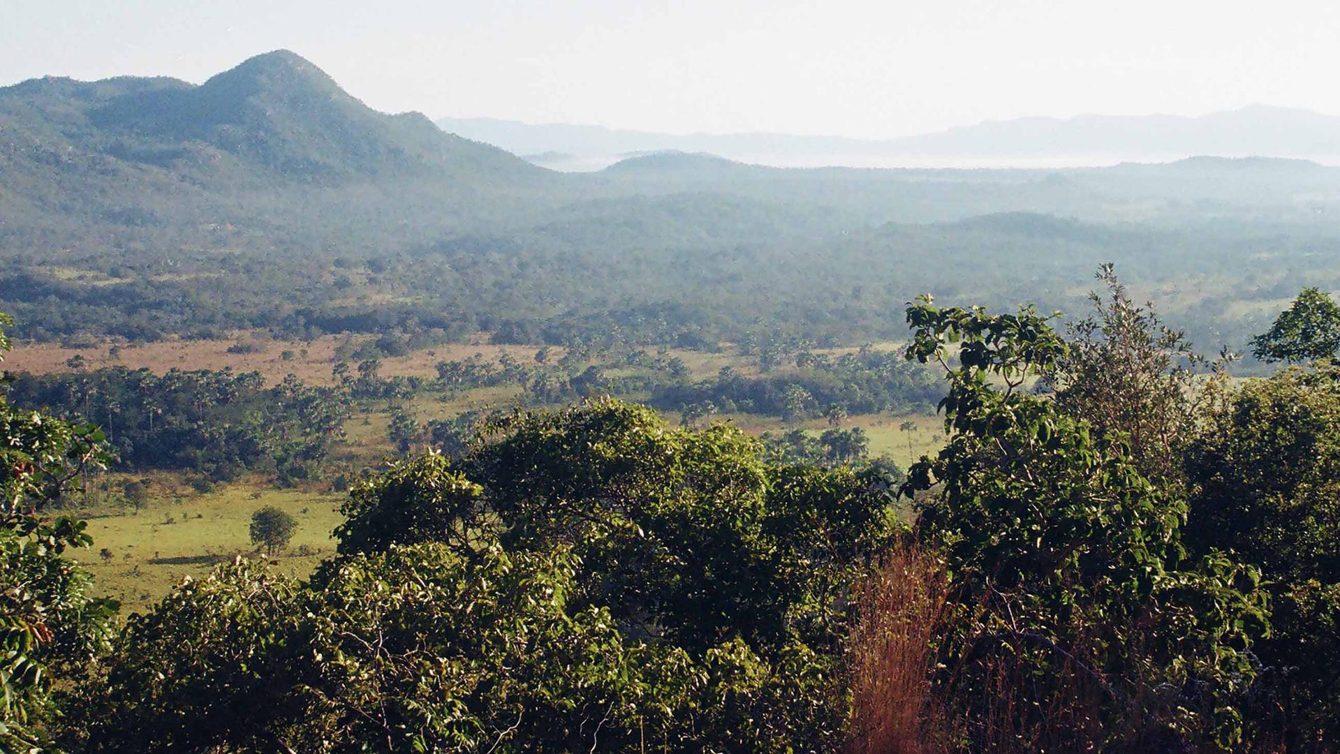 Cerrado, Brazil