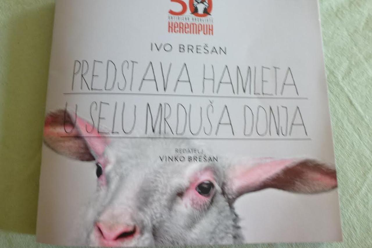 Hamlet u selu Mrduša Donja