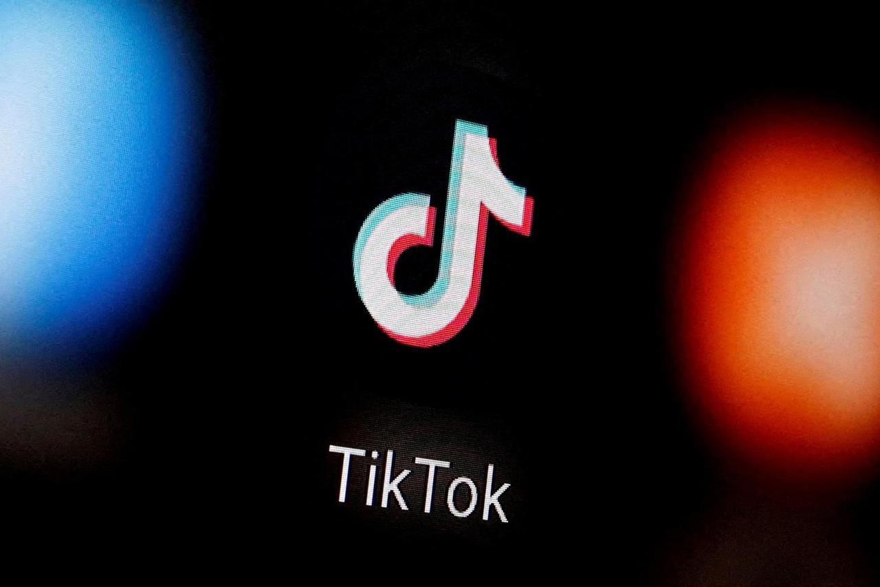 FILE PHOTO: A TikTok logo is displayed on a smartphone in this illustration