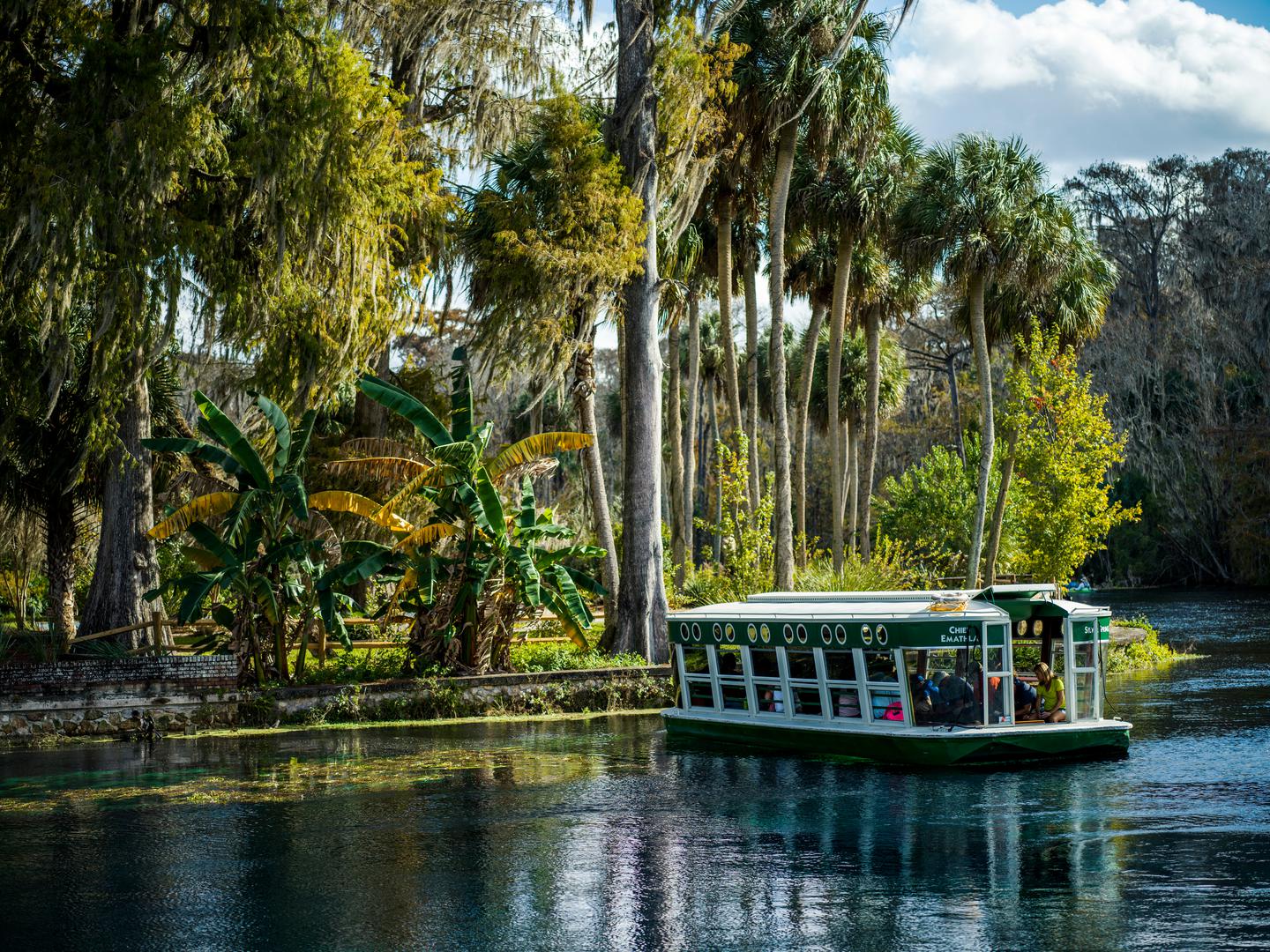 Nacionalna šuma Ocala, Florida