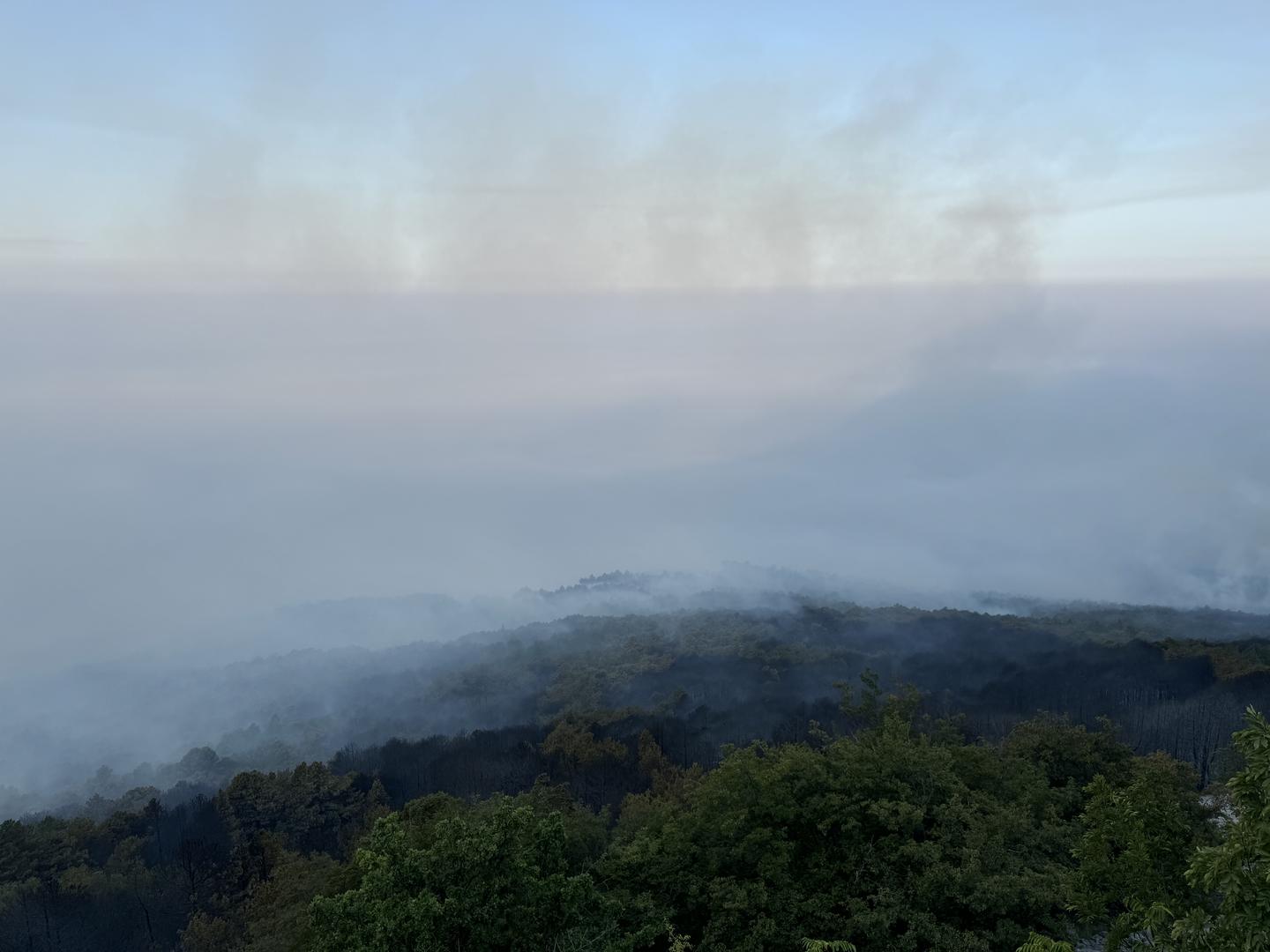 01.08.2024.,Makarska- Jutro je otkrilo katastrofu opozarene povrsine na podrucju Parka prirode Biokovo. Photo: Ivo Cagalj/PIXSELL