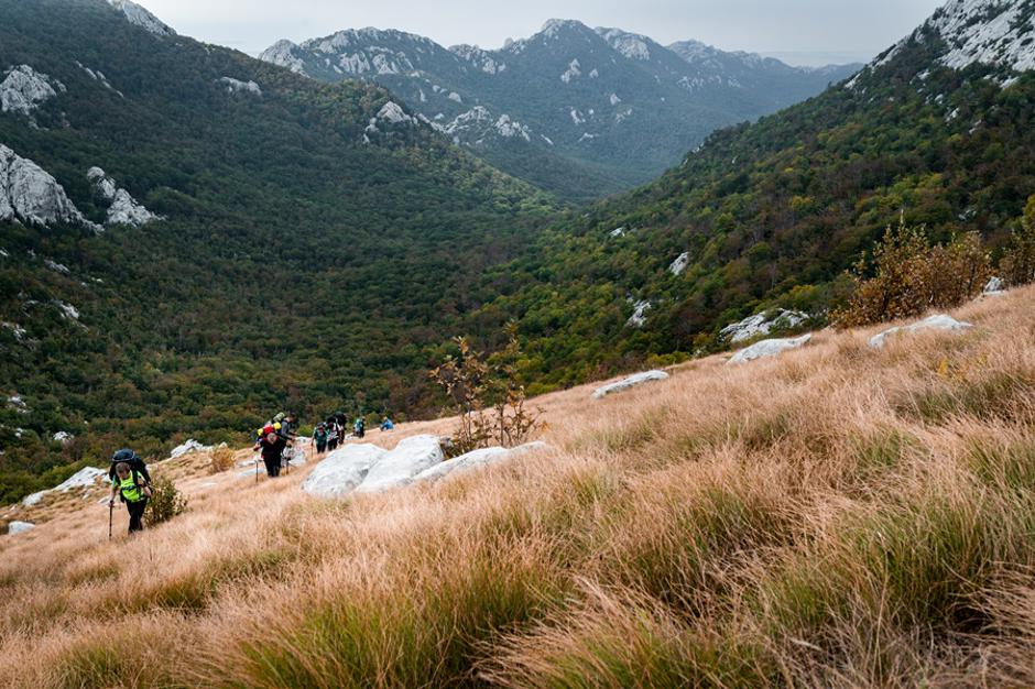 HIGHLANDER Velebit