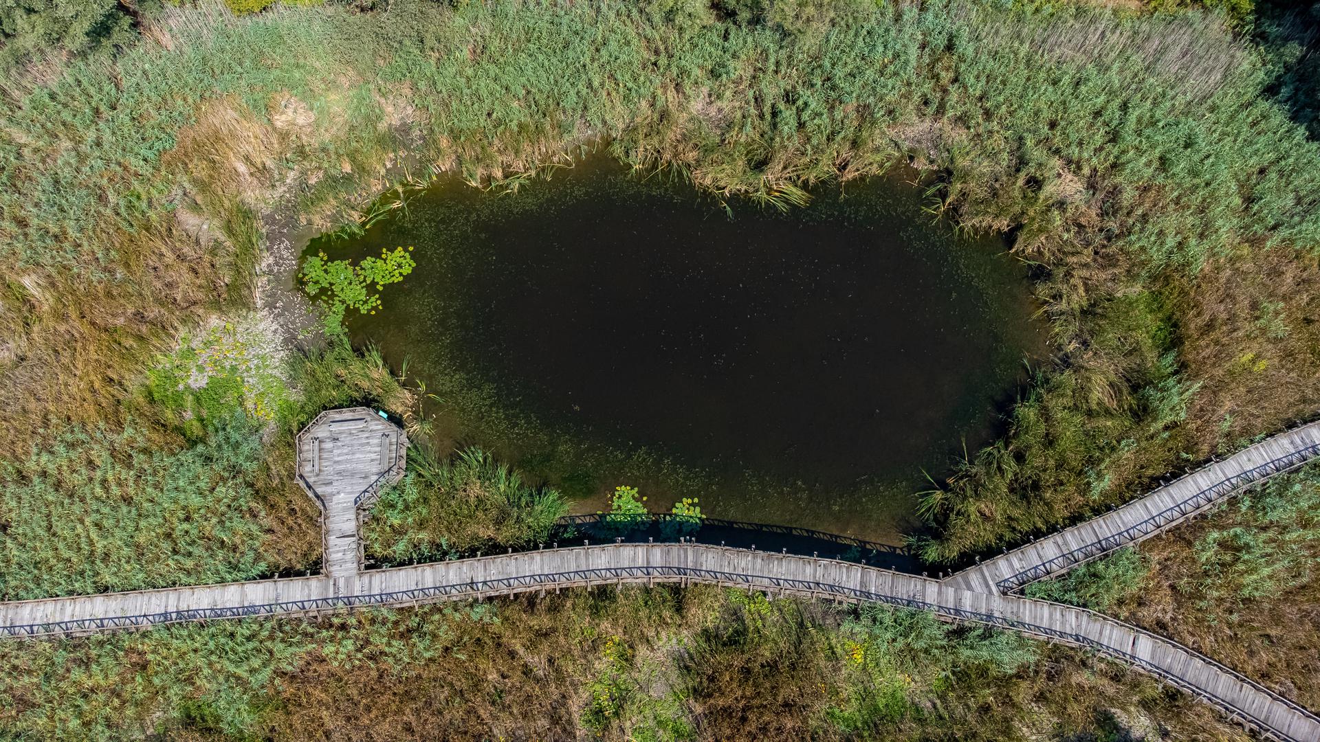 25.08.2022., Kopacki rit - Park prirode Kopacki rit jedna od najvecih mocvara Europe. Zbog niskog vodostaja rijeke Dunav veci dio Kopackog rita je bez vode. Photo: Davor Javorovic/PIXSELL