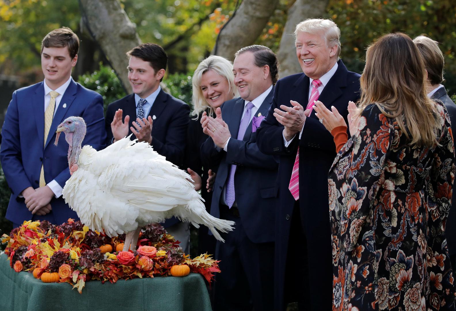 Američki predsjednik Donald Trump u utorak je prvi put pomilovao purice Drumstick i Wishbone, nastavivši dugogodišnju tradiciju koju Bijela kuća njeguje od 1989. 