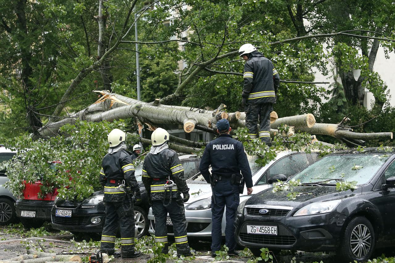 Zbog jakog vjetra u Sopotu se srušilo stablo na automobile, intervenirali vatrogasci