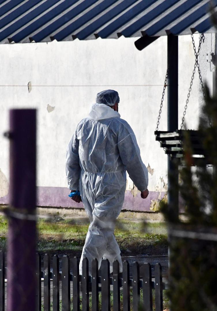 16.11.2023., Slavonski Kobas - Vindonova farma purana u blizini Oriovca na kojoj je otkrivena pticja gripa. Photo: Ivica Galovic/PIXSELL