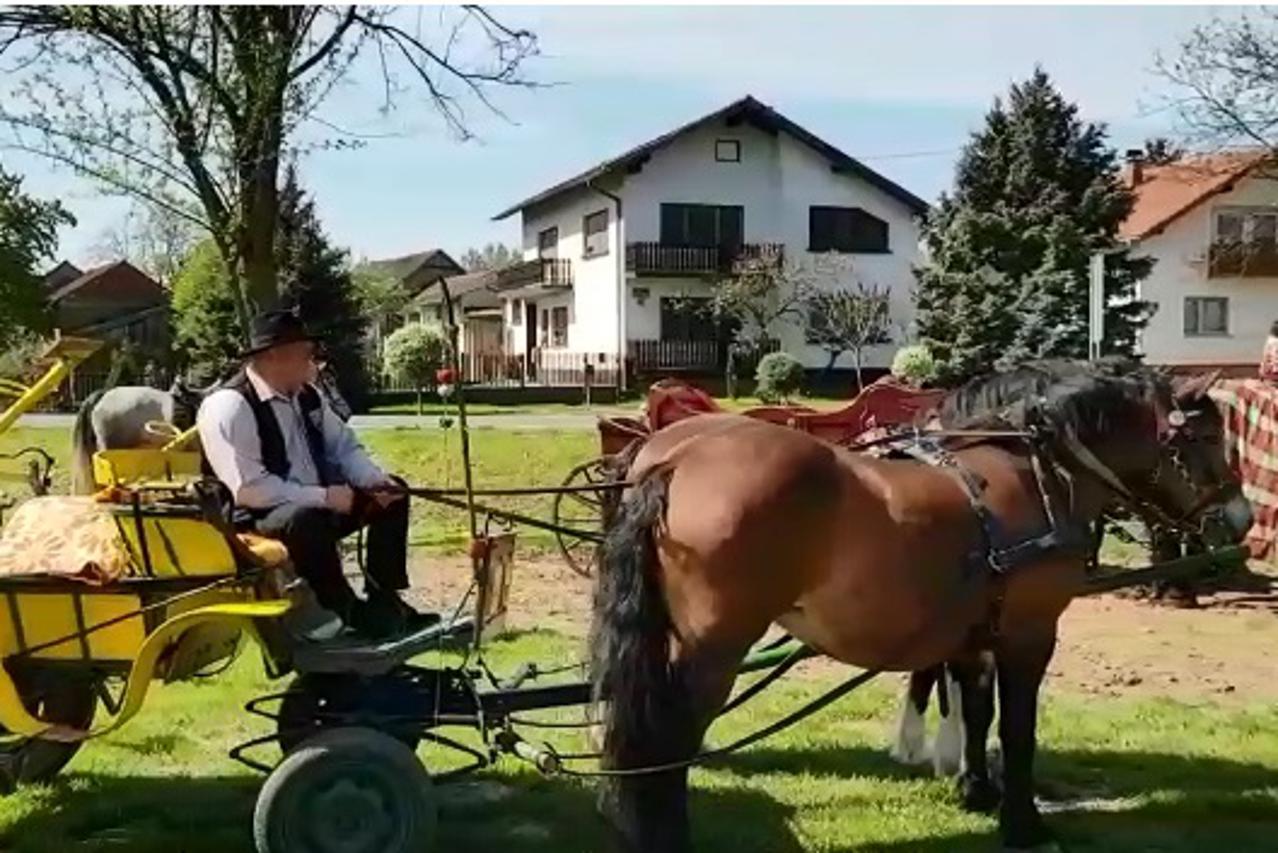 Sveti Đurđ: Okupili se uzgajivači i ljubitelji konja te vlasnici konjskih zaprega