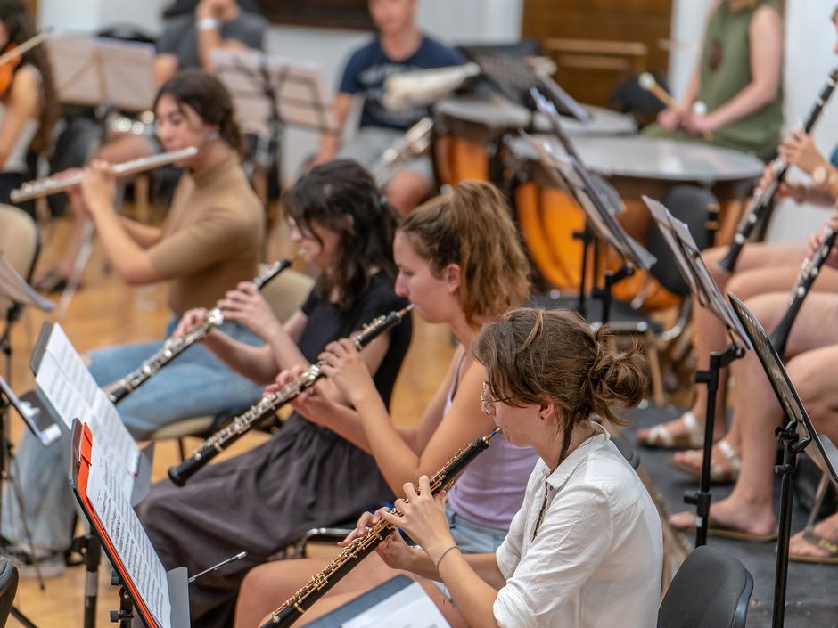 Zagrebački mladi filharmoničari