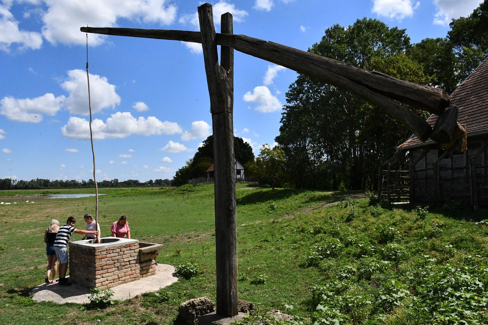 27.07.2023., Oprisavci - Izbor za najbolji OPG  "Zlata vrijedan". Obiteljsko poljoprivredno gospodarstvo Ivica Kovacevic Oprisavci, uzgajivac podolskog goveda na poplavnom pasnjaku Gajna uz rijeku Savu. Photo: Ivica Galovic/PIXSELL