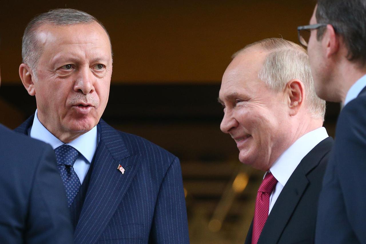 Presidents of Russia and Turkey meet in Sochi