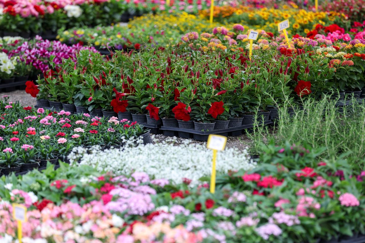 Zagreb: Uz jezero Bundek otvoren ovogodišnji FloraArt, međunarodna vrtna izložba