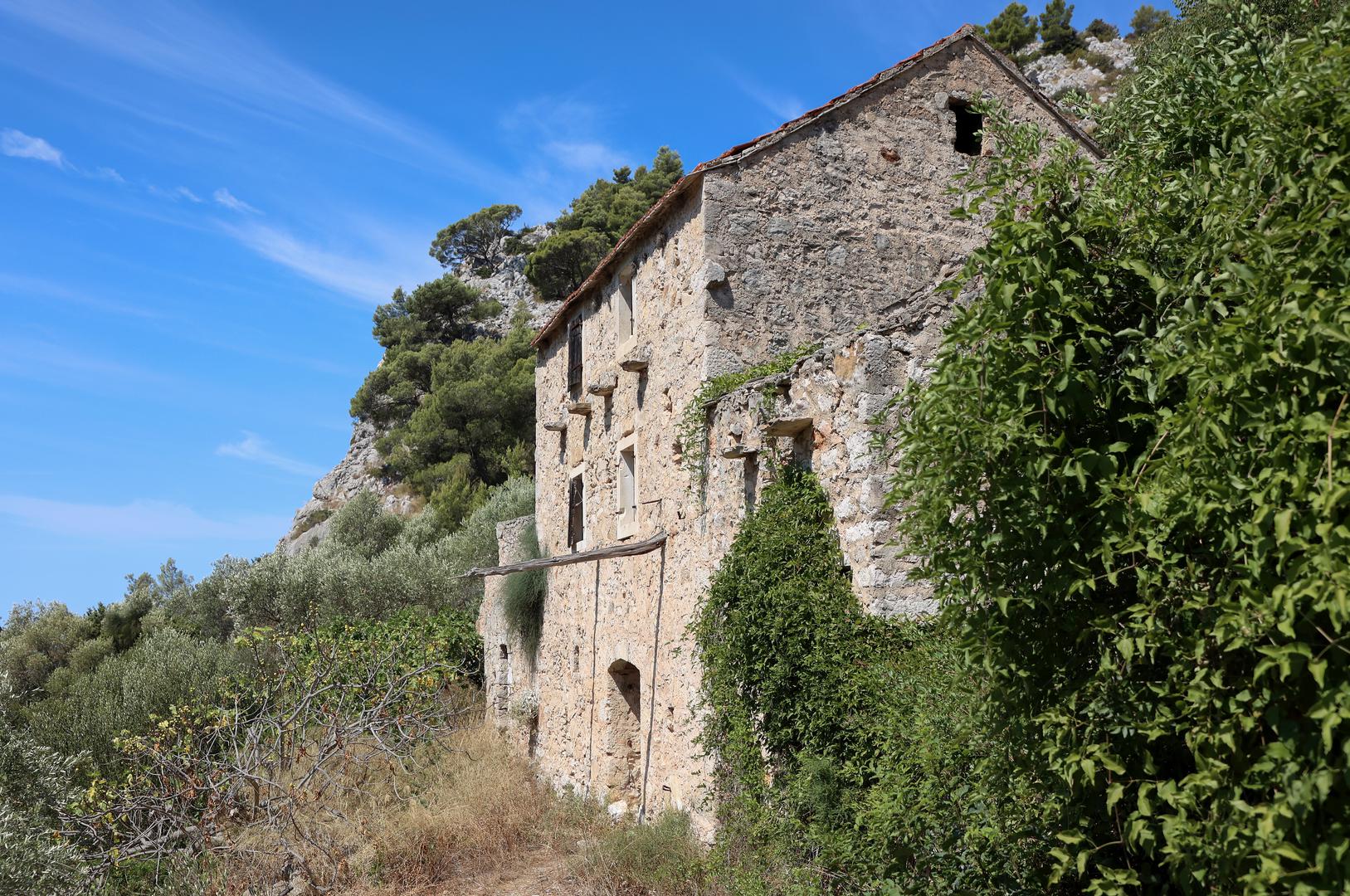 25. 07. 2024., Hvar- napusteno selo selo Malo Grablje u koje se prvi vratio Berti Tudor i otvorio obiteljski restoran u koji se moze doc samo po rezervaciji.  Photo: Ivana Ivanovic/PIXSELL