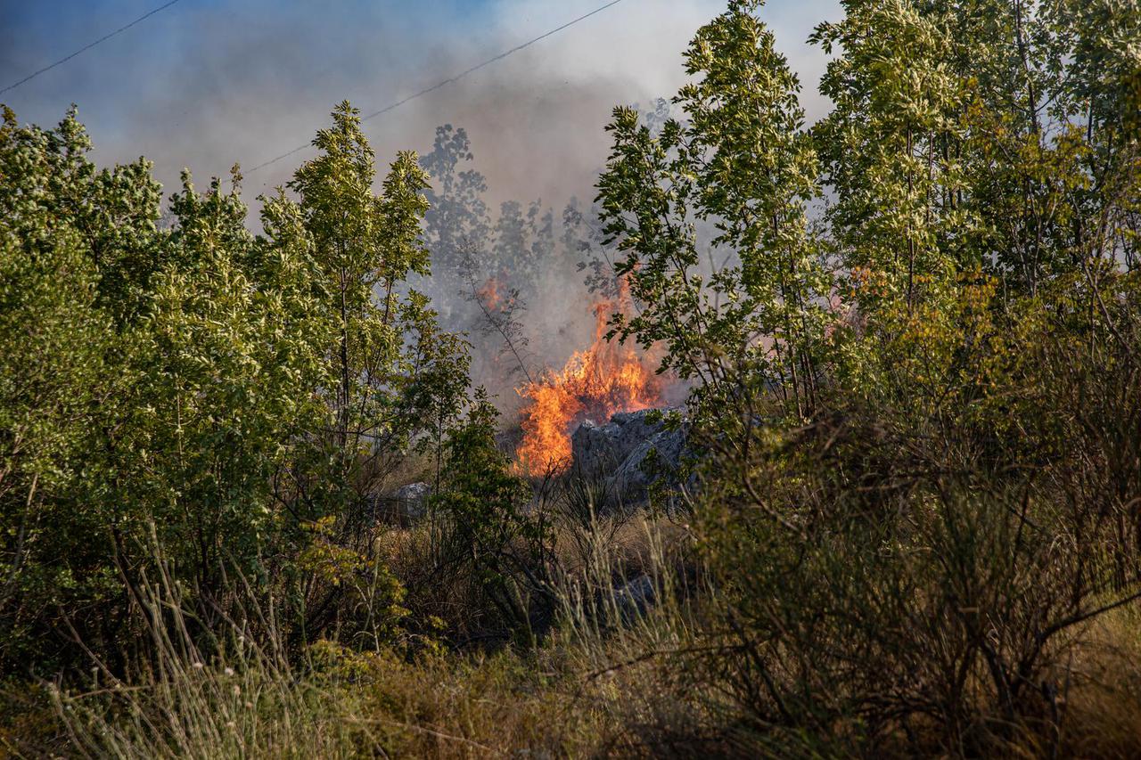 Gori iznad Orašca, vatrogasci uspjeli obraniti kuće u Ljupču, stigla 4 kanadera